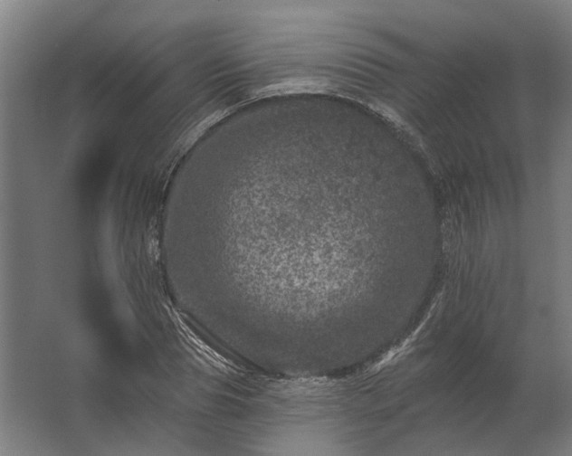 X0000062790929200512290219