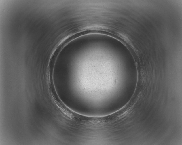 X0000062790931200512290219