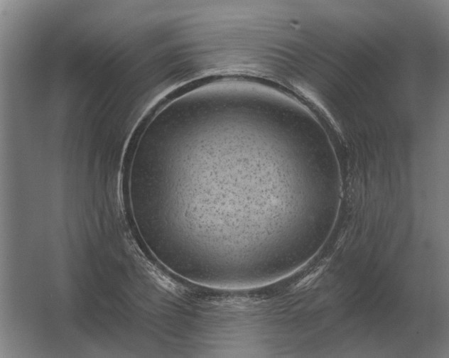 X0000062790932200512290219