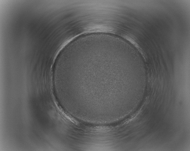 X0000062790933200512290219