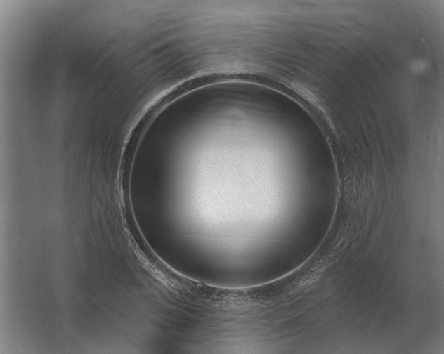 X0000062790935200512290219