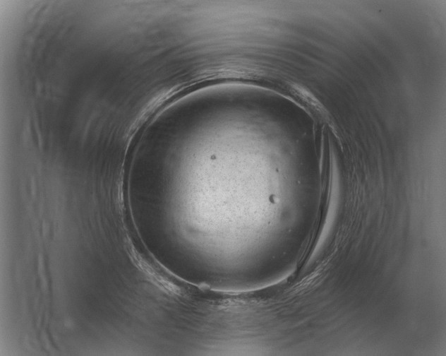 X0000062790938200512290219