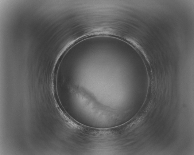 X0000062790941200512290219