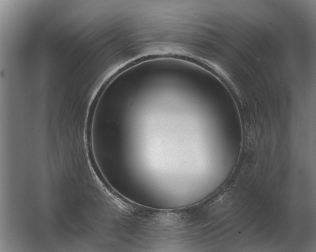 X0000062790943200512290219