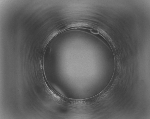 X0000062790945200512290219