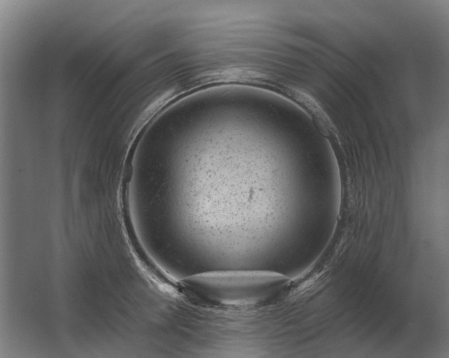 X0000062790946200512290219