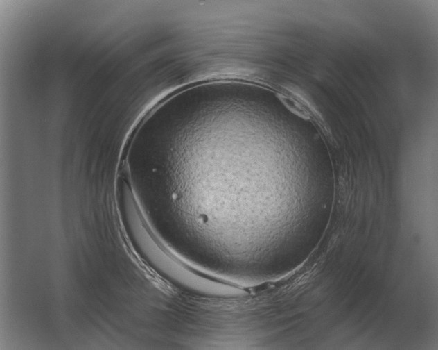 X0000062790948200512290219