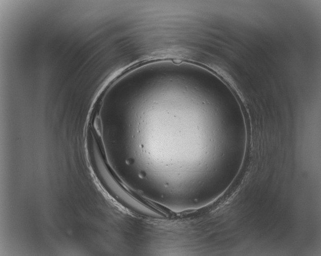 X0000062790949200512290219