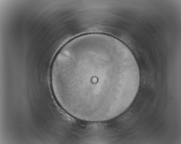 X0000062790950200512290219