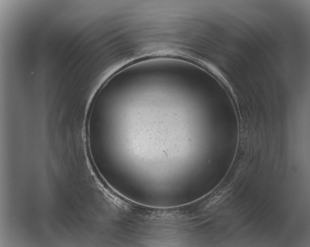 X0000062790951200512290219