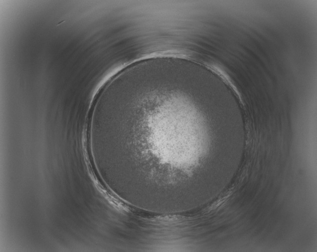 X0000062790952200512290219