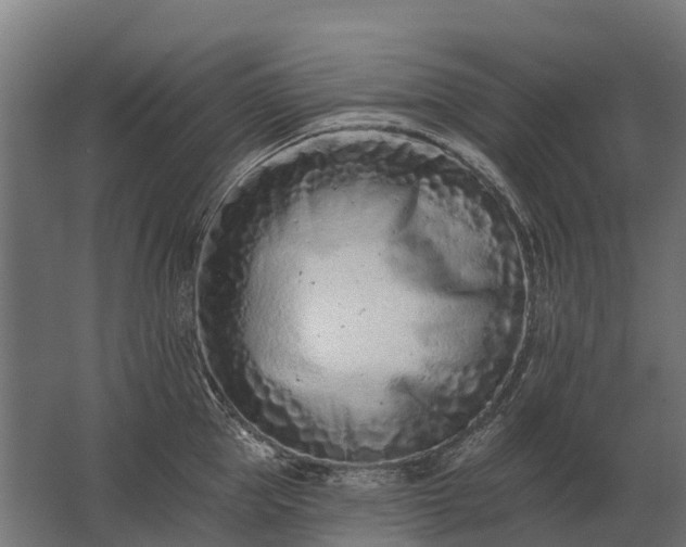 X0000062790953200512290219