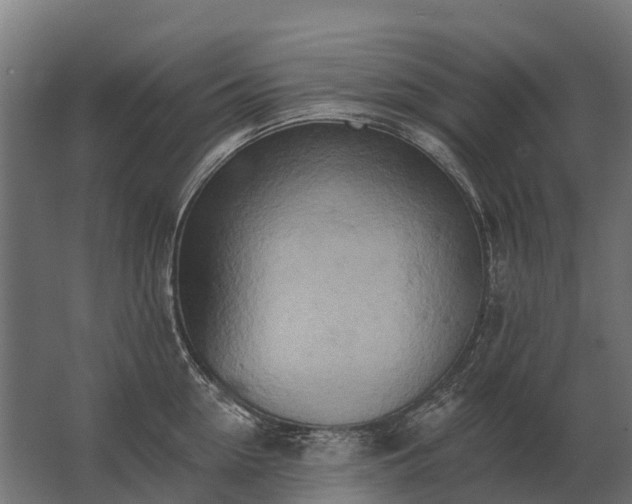 X0000062790954200512290219