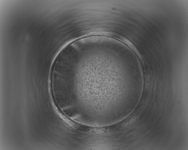 X0000062790955200512290219