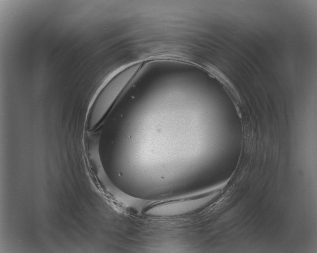 X0000062790956200512290219