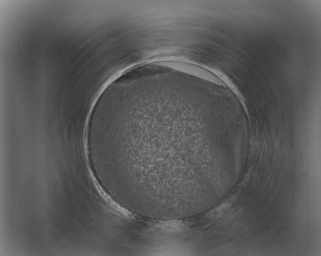 X0000062790957200512290219