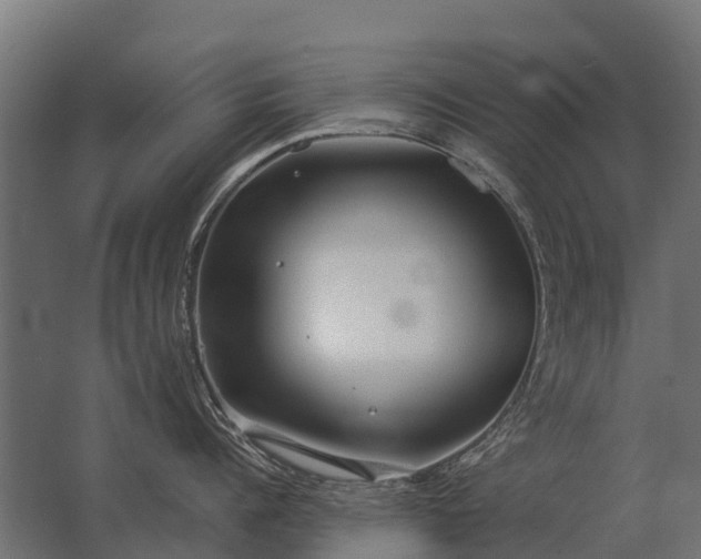 X0000062790960200512290219