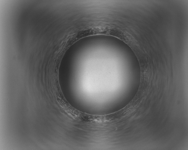 X0000062790961200512290218