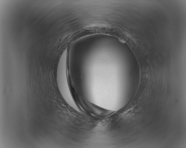 X0000062790965200512290218