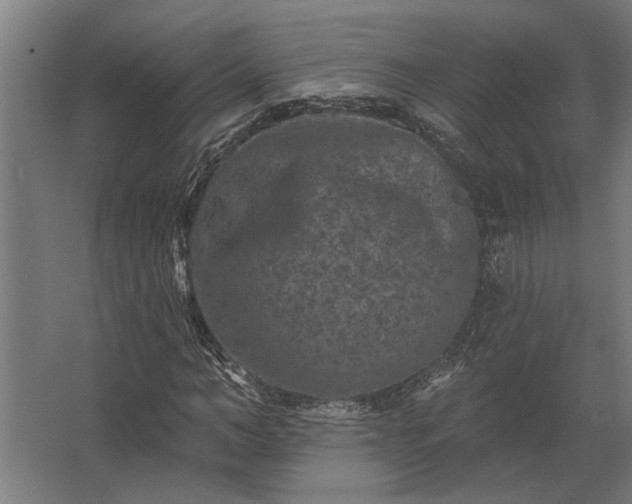 X0000062790966200512290218