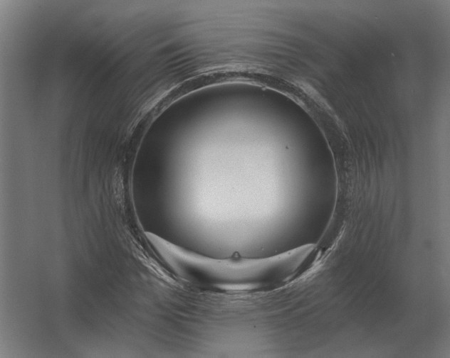 X0000062790969200512290218