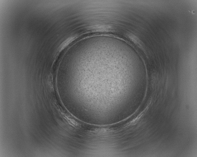 X0000062790970200512290218