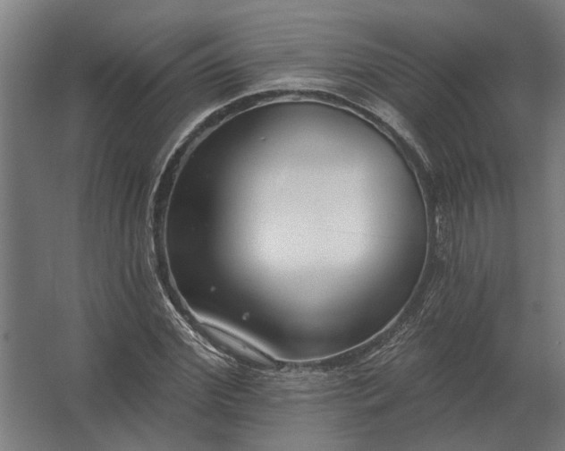 X0000062790972200512290218