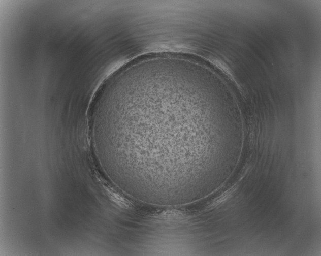 X0000062790974200512290218