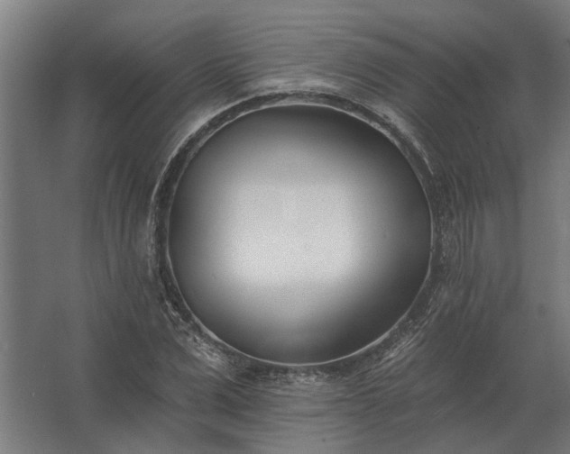 X0000062790975200512290218