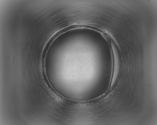 X0000062790976200512290218