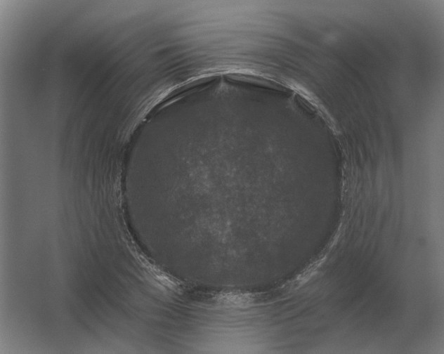 X0000062790977200512290218