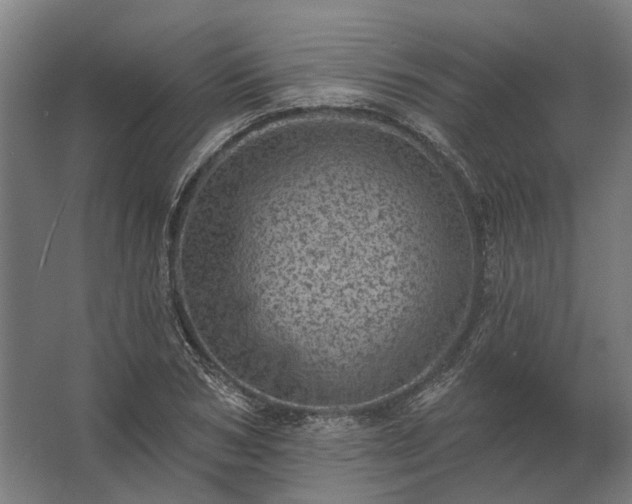 X0000062790978200512290218