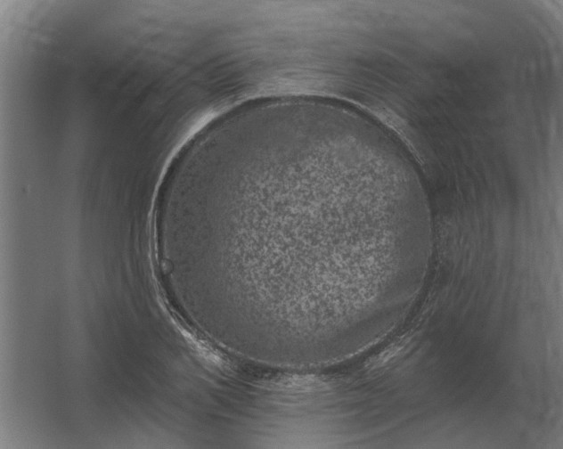 X0000062790982200512290218