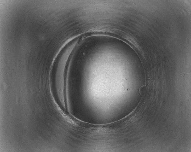 X0000062790984200512290218