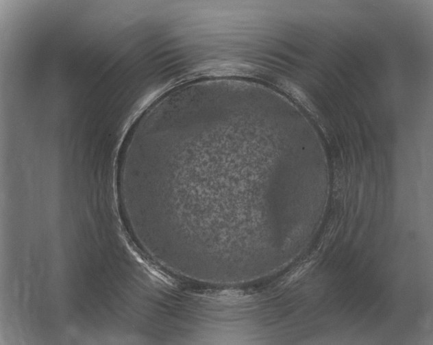 X0000062790986200512290218