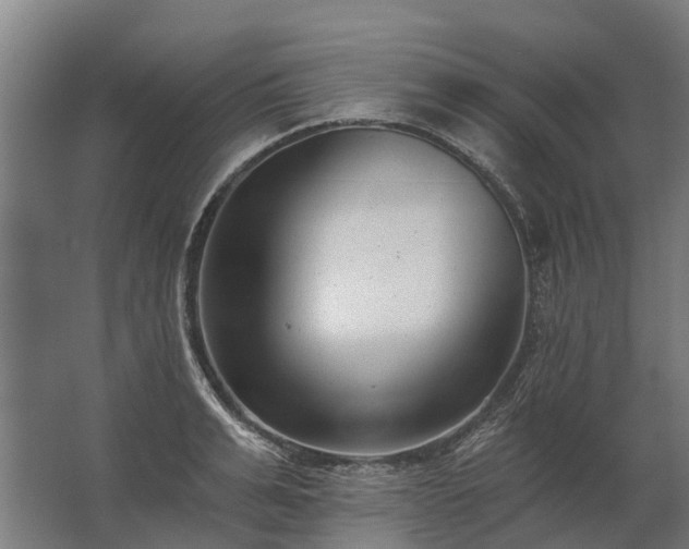 X0000062790991200512290218