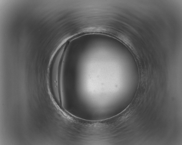 X0000062790992200512290218