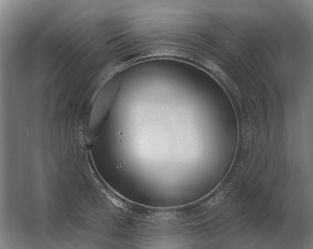 X0000062790993200512290218