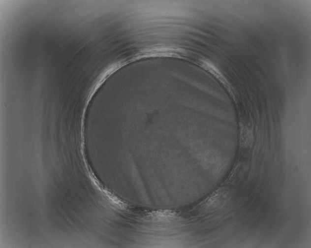 X0000062790994200512290218