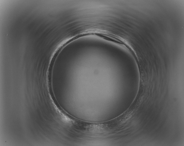 X0000062790995200512290218