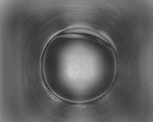 X0000062790996200512290218