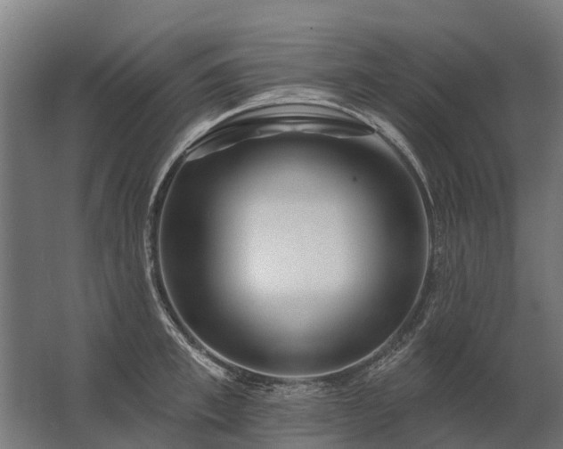 X0000062790997200512290218