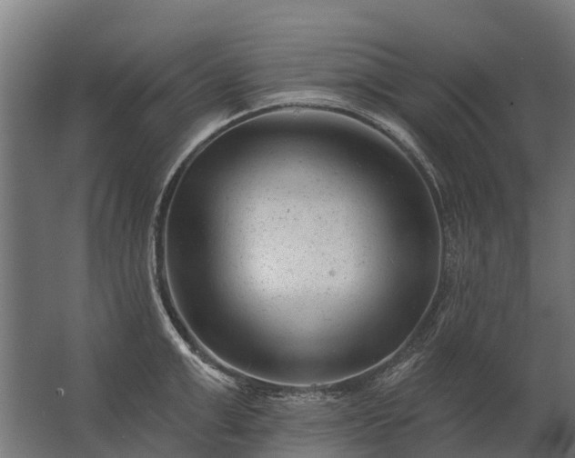 X0000062790999200512290218