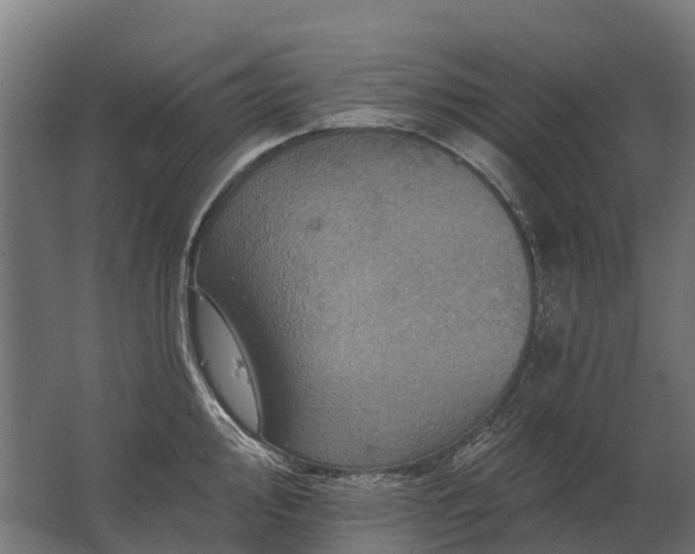 X0000062791000200512290218