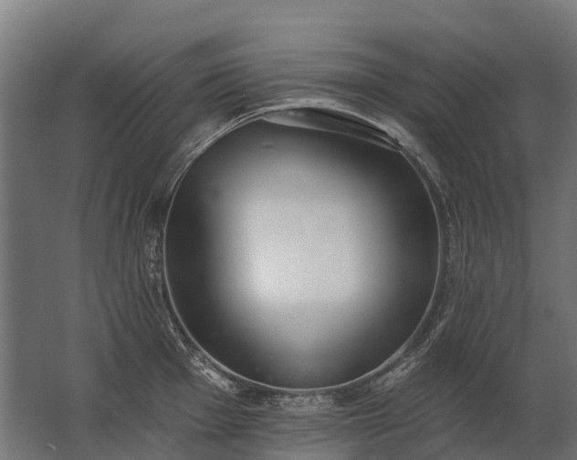 X0000062791001200512290218