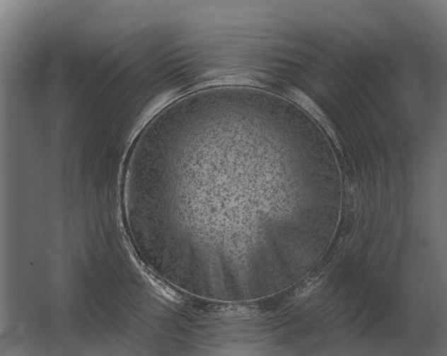 X0000062791002200512290218