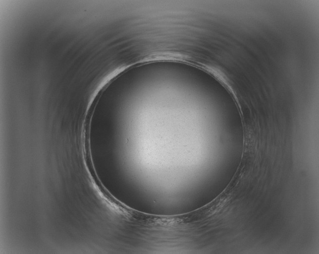 X0000062791003200512290218