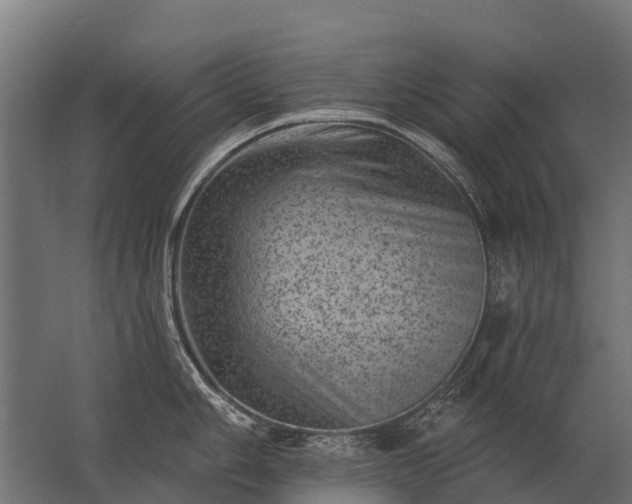 X0000062791006200512290218