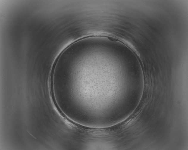 X0000062791007200512290218