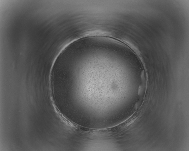 X0000062791008200512290218